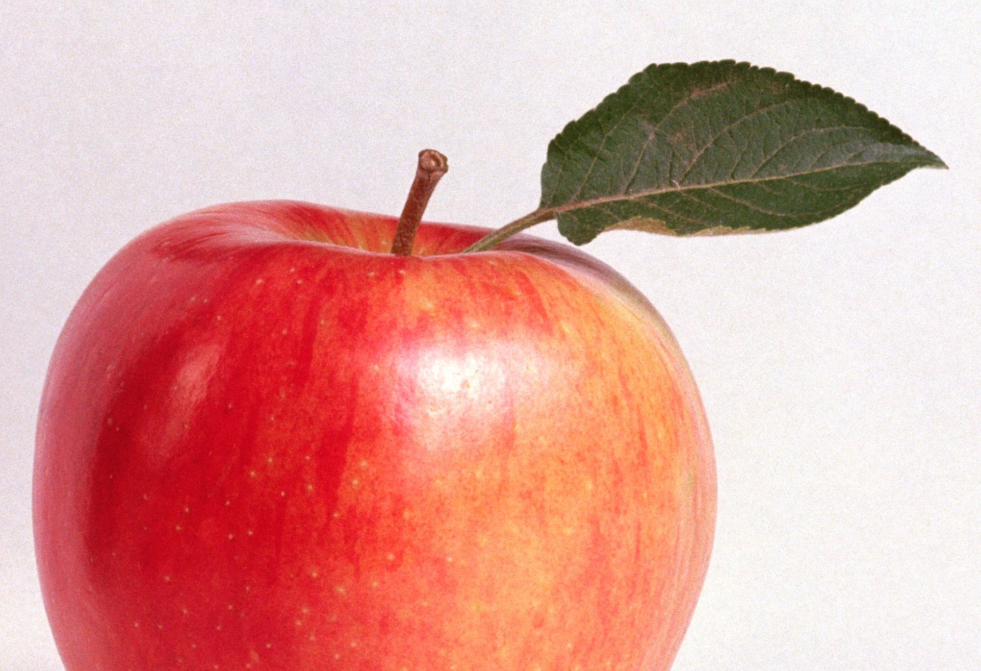 A single apple with small leaf