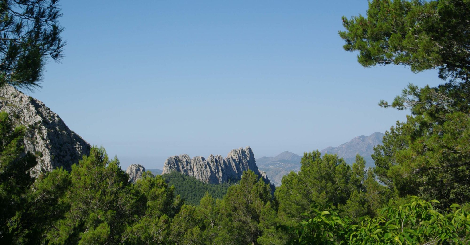 Blue sky with mountainous landscape and trees in the foreground